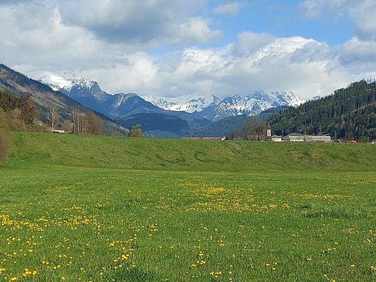 Auszeit Steiraland 6 Mit Ueberdachter Terasse Schoenen Garten Und Kostenlosen Parkplatz Leoben  Bagian luar foto